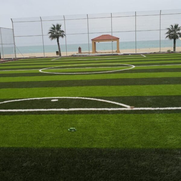 Photo 2026 03 03 16 15 18 600x600