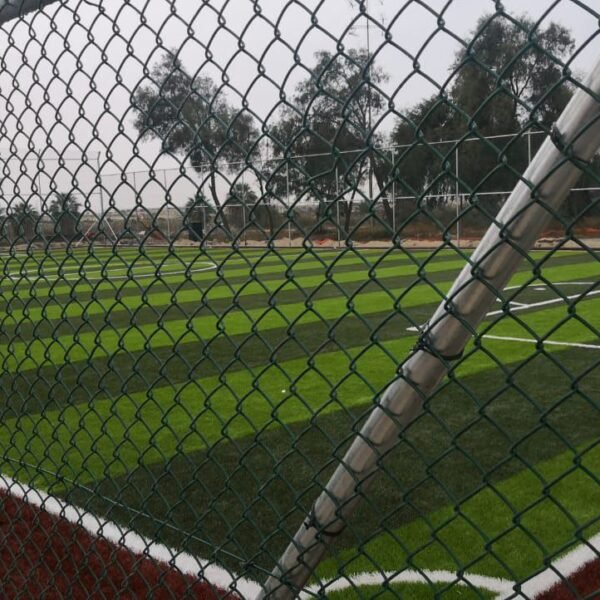 Photo 2026 03 03 16 15 33 600x600