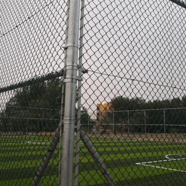 Photo 2026 03 03 16 15 44 600x600