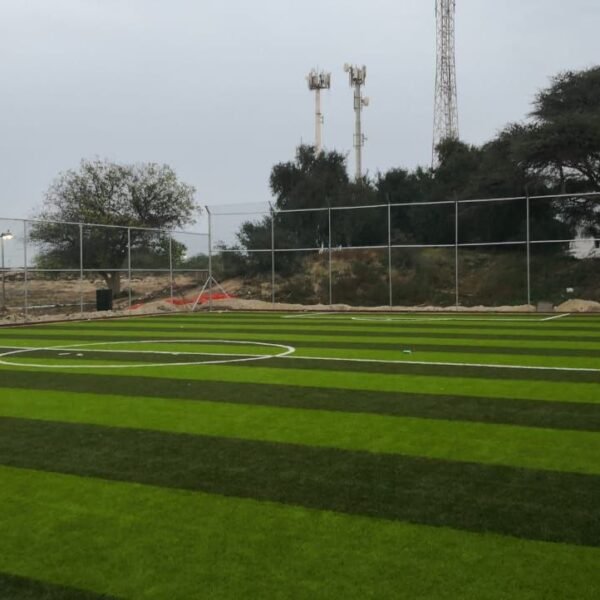 Photo 2026 03 03 16 15 56 600x600