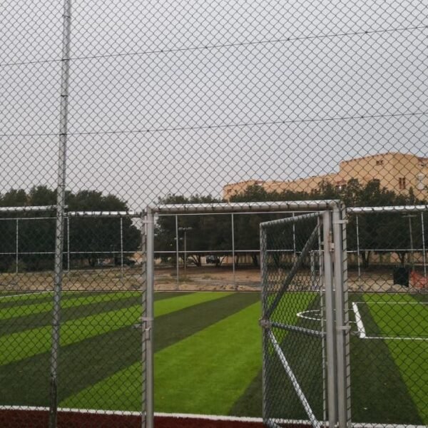 Photo 2026 03 03 16 16 07 600x600