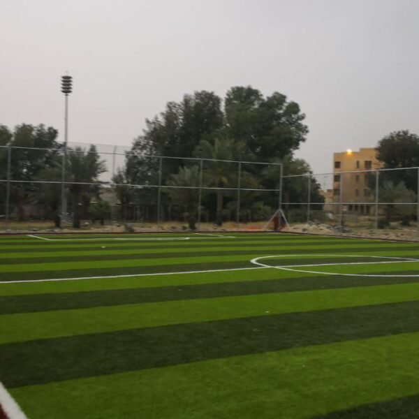 Photo 2026 03 03 16 16 12 600x600