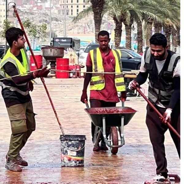 Photo 2026 03 03 16 25 36 600x600