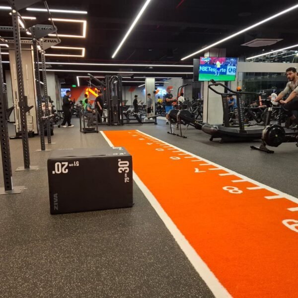 Photo 2026 03 03 16 42 30 600x600