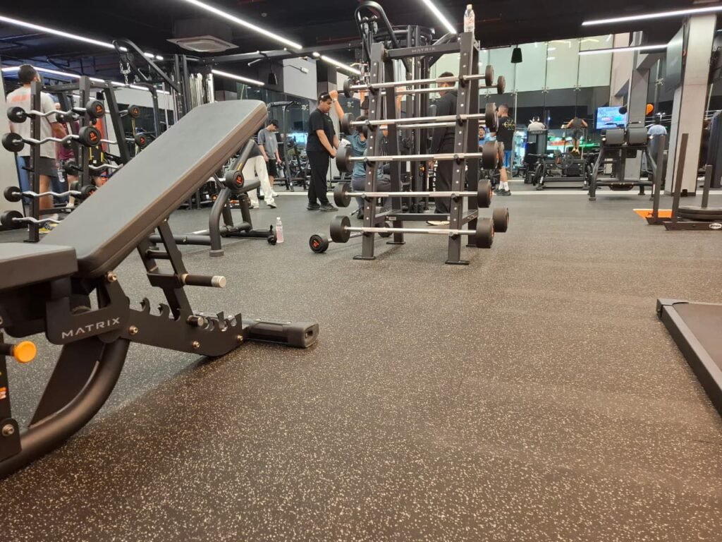 Photo 2026 03 03 16 42 48 1024x768