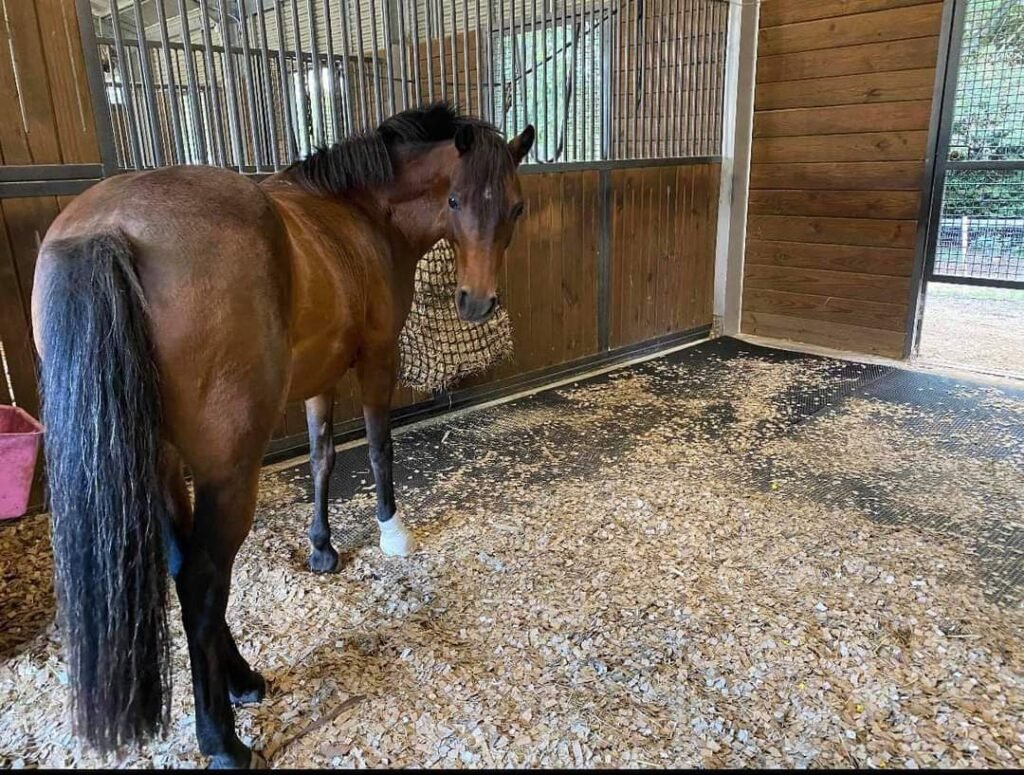 Photo 2026 03 06 15 09 33 1024x775