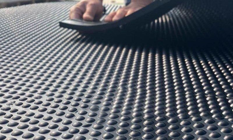 Photo 2026 03 06 15 09 37 e1772802821562