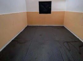 Photo 2026 03 06 15 09 48 e1772802880125