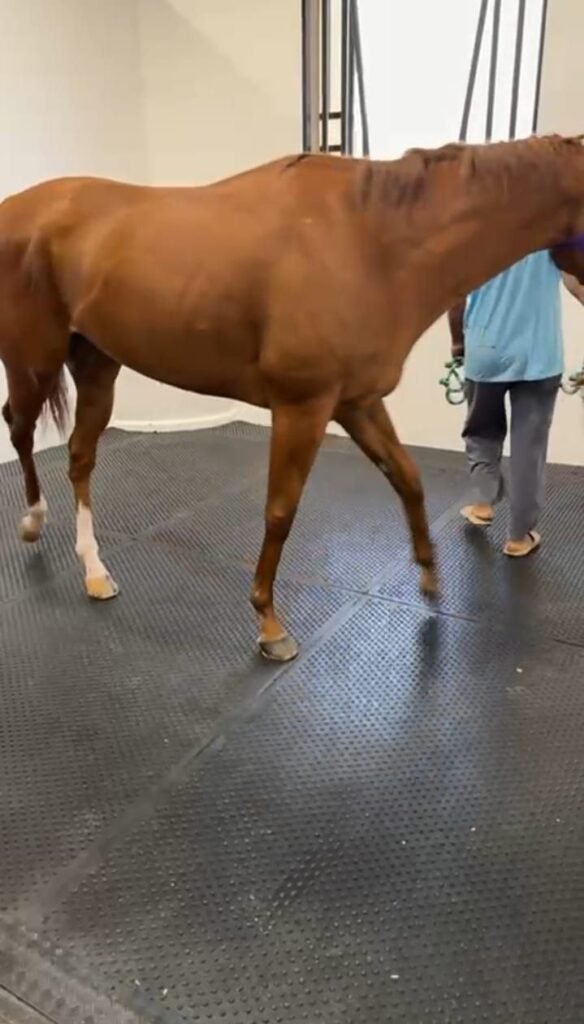 Photo 2026 03 06 15 09 57 584x1024