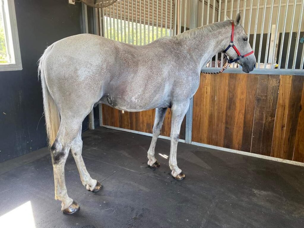 Photo 2026 03 06 15 10 01 1024x768