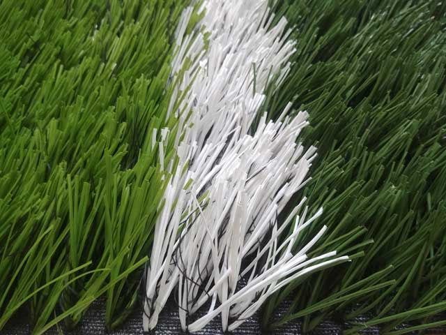 Photo 2026 03 07 15 59 41