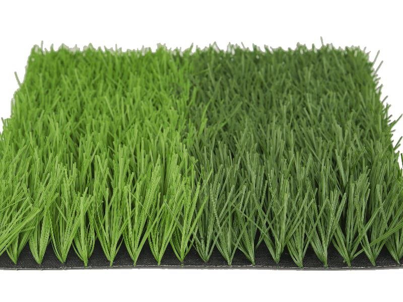 Photo 2026 03 07 15 59 50